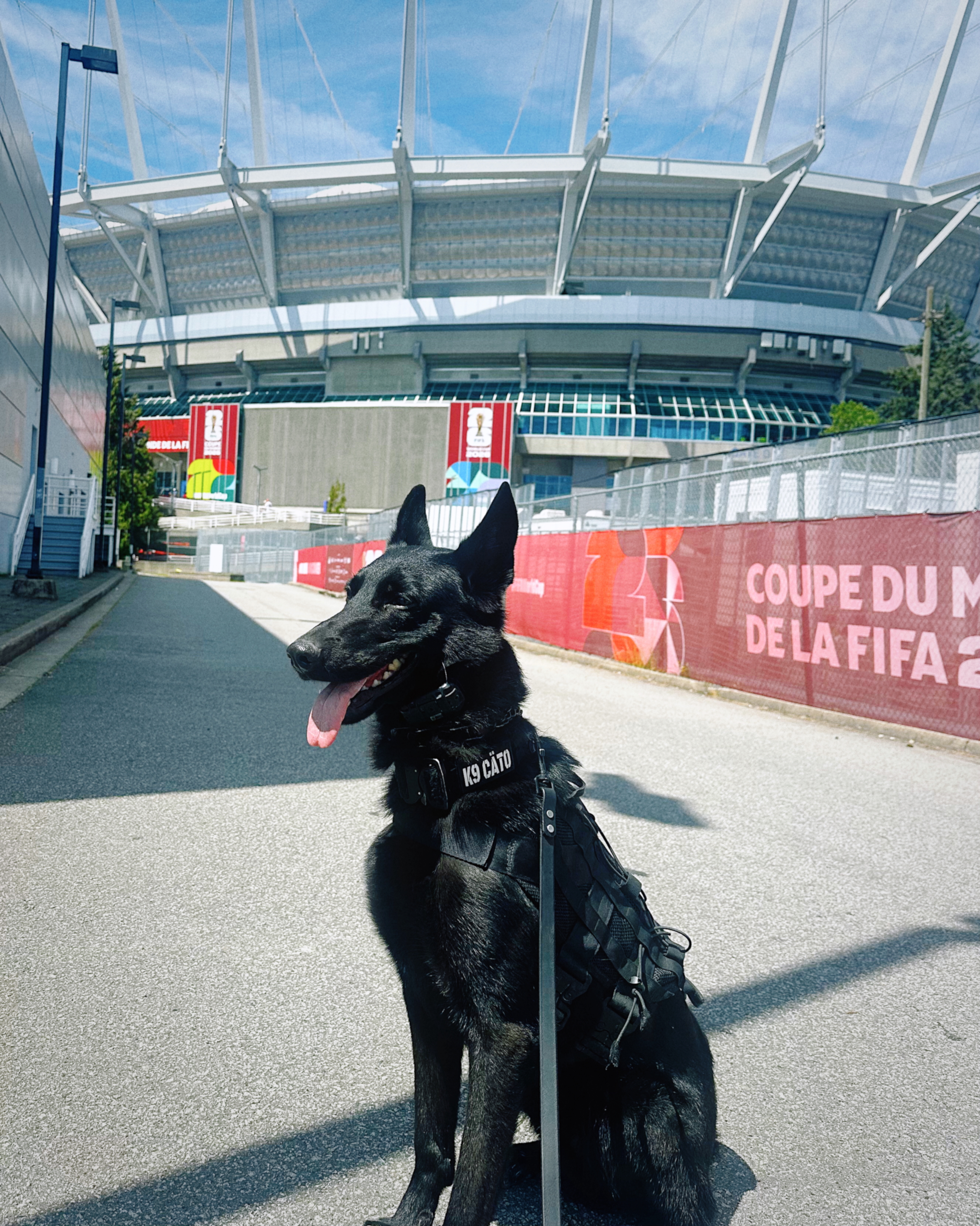 K9 Cäto